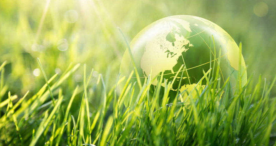 ISO14001 Environmental Certification