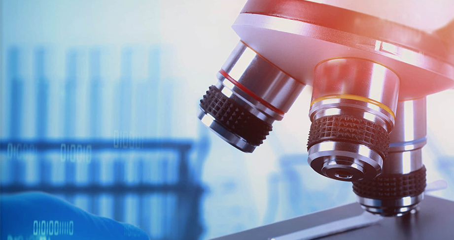 HIGG/FEM verification